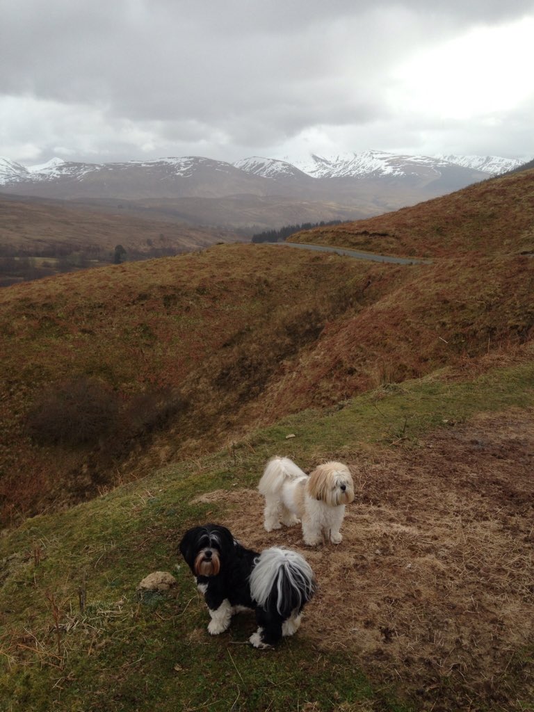 StevieRussell2's tweet photo. A little walk up Glen Roy yesterday to the Chalice Stone #Roybridge #Highlands https://t.co/RylD6ydOWf