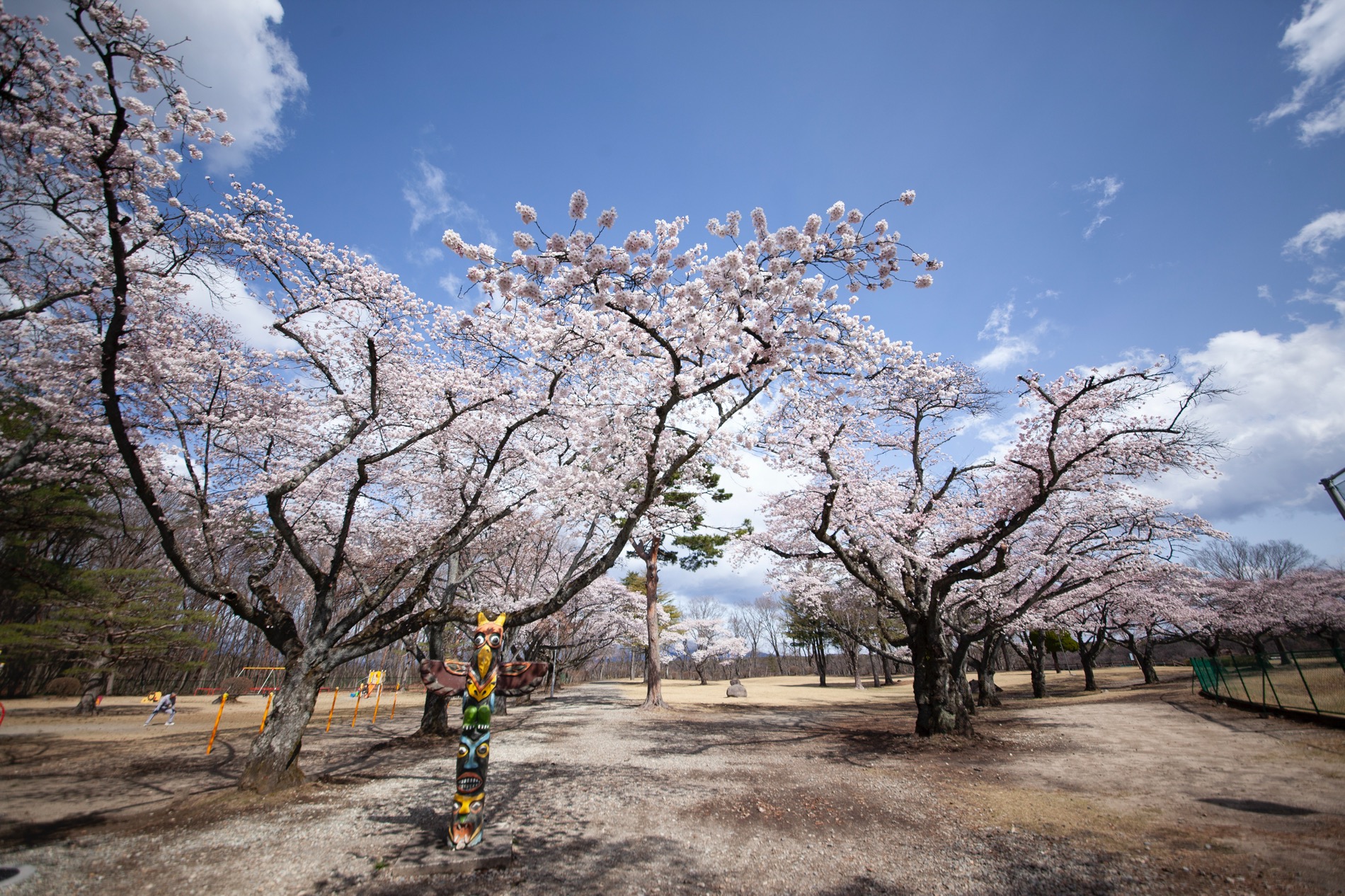 Twitter पर 公式 Nasumo ナスモ 黒磯公園の桜は8分咲き 今週末はお花見日和になりそうですね おでかけの際には 十分にお気をつけください Nasumo 黒磯公園 那須塩原市 桜 那須好きと繋がりたい ファインダー越しの私の世界 T Co K8bdqac7kq