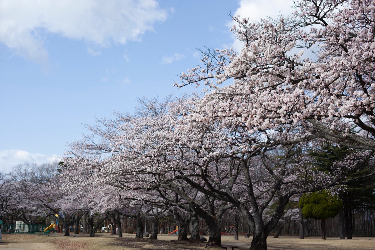 公式 Nasumo ナスモ 黒磯公園の桜は8分咲き 今週末はお花見日和になりそうですね おでかけの際には 十分にお気をつけください Nasumo 黒磯公園 那須塩原市 桜 那須好きと繋がりたい ファインダー越しの私の世界 公式 Nasumo ナスモ 黒磯公園の桜は8分咲き 今週末はお花見日和になりそうですね おでかけの際には 十分にお気をつけください Nasumo 黒磯公園 那須塩原市 桜 那須好きと繋がりたい ファインダー越しの私の世界