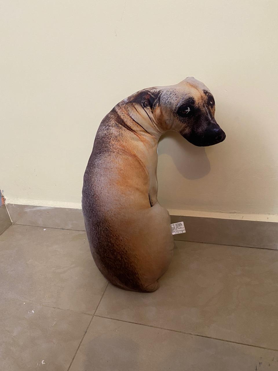 OverizeApp on X MrMissa te has olvidado a tu perro sin nombre en las oficinas de Overize Que te parece si hacemos sorteo Ademas al ganador le incluiremos una copia digital de