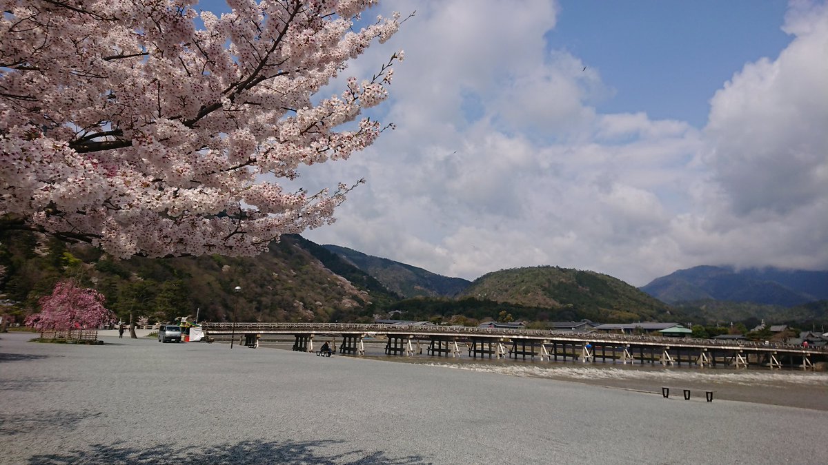 嵐山の桜