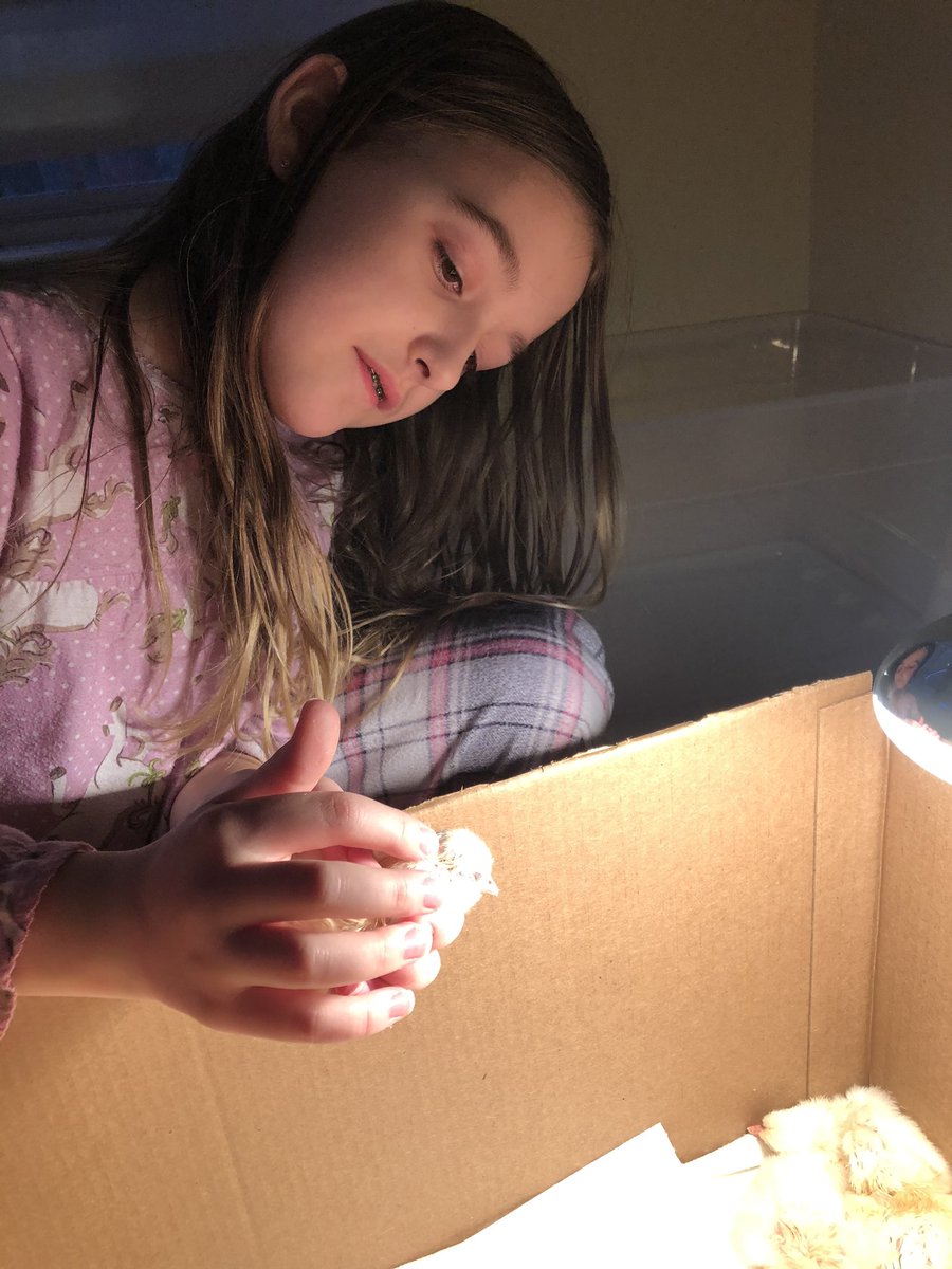 Mrs. Kording tweet media