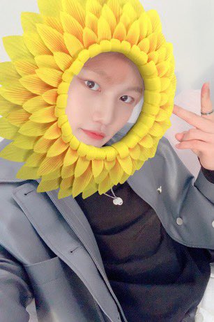 🌻