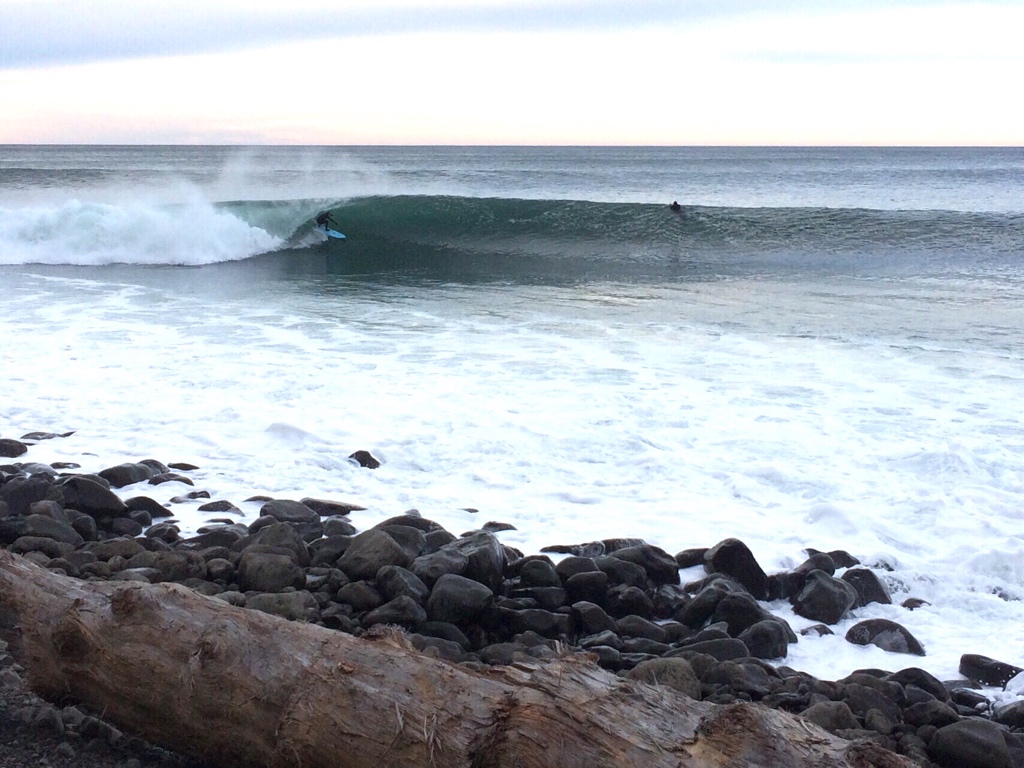 Sam Beebe tweet media