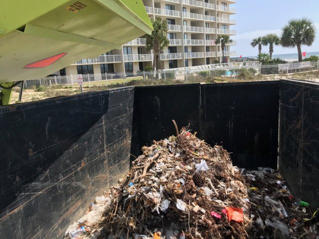 cityorangebeach tweet picture