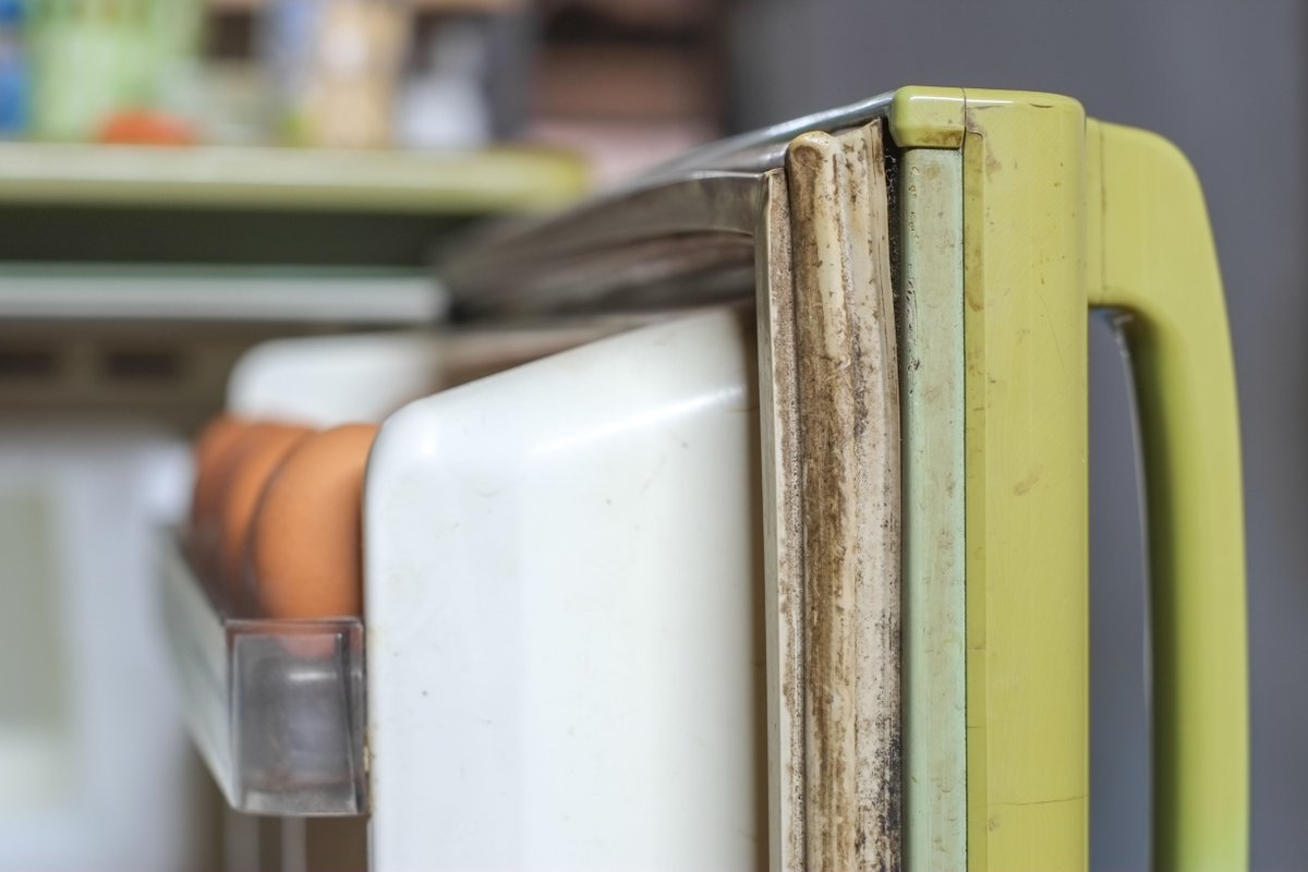 We're all looking for ways to save money. Checking your fridge’s seal can help you save on energy costs.

Test it by sticking a piece of paper in the door of your fridge and closing it. If it stays closed, it's working. If it doesn’t, it's time to replace it 😎

#homemaintenance