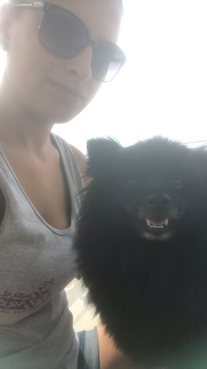 purpprincesa's tweet photo. @JeffreeStar this is Jefe. He is a Pomeranian and we love you! My name is Cora and I could really use your help! 🙌🏼💜 https://t.co/f2ZaiVpE0t