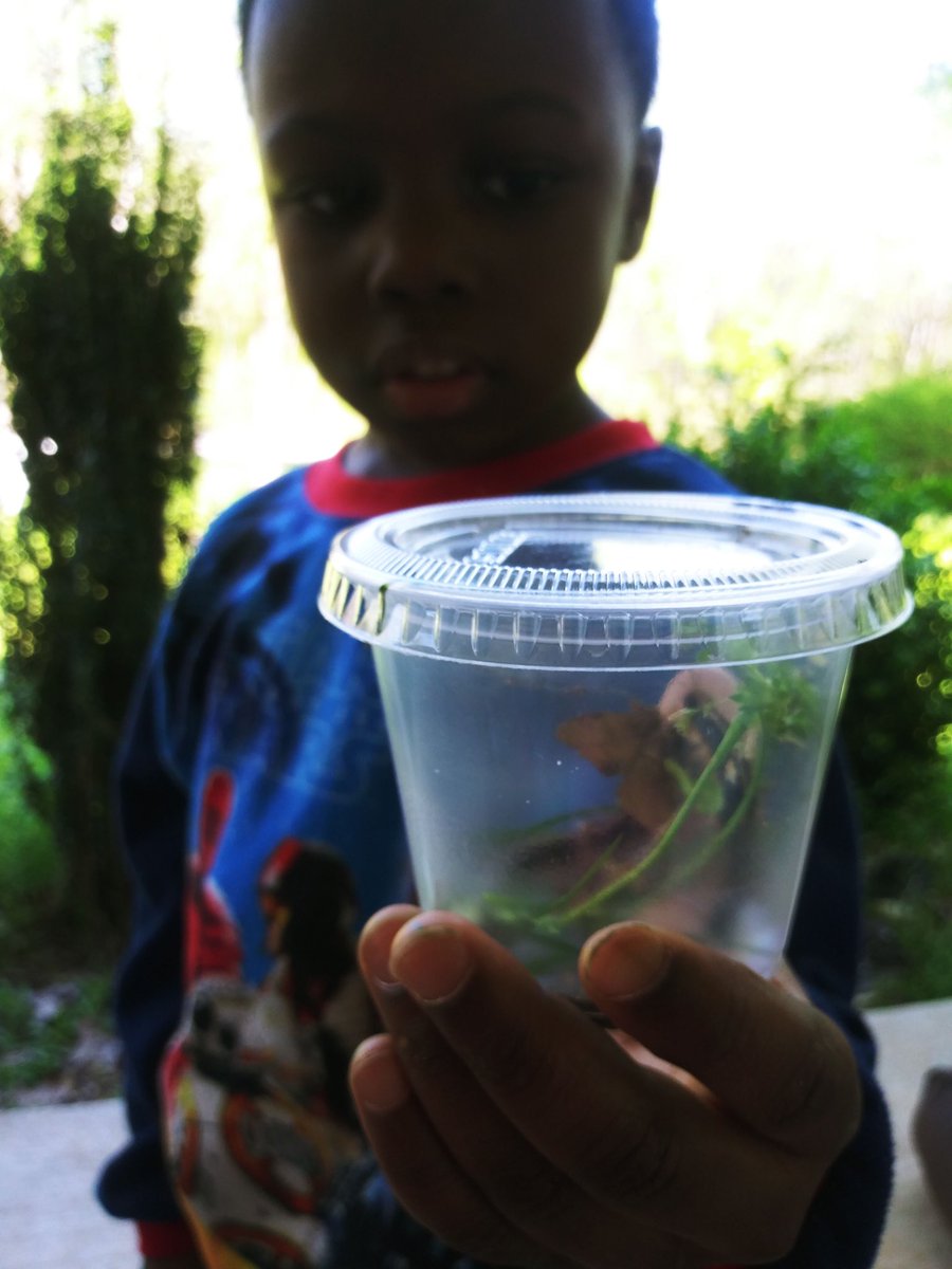 hannahmfischer's tweet photo. Seeing them explore &amp; learn at home makes me miss them so much! I’m thankful we live in a time that allows us to stay connected. My little friends are #distancelearning in so many ways! Tracing, exploring nature, finding letters/numbers, &amp; being creative! #ExcellenceContinues https://t.co/TsXBQC2yVb