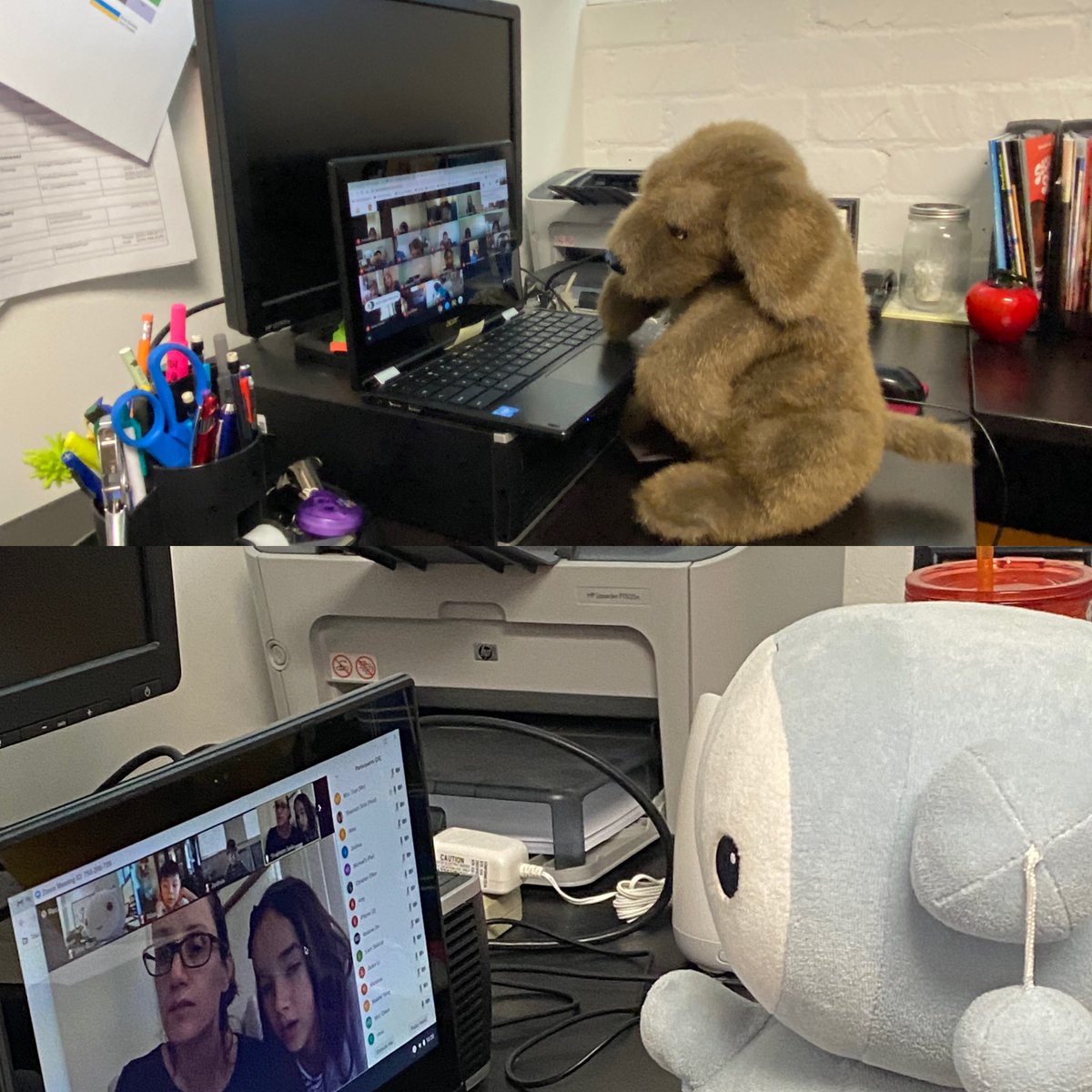 Jennifer Tran tweet media