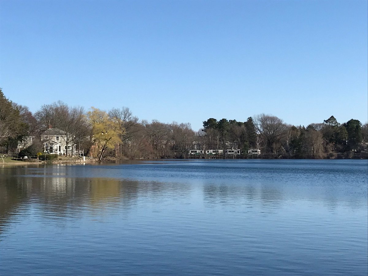 chloechuk's tweet photo. Crystal Lake. #newtonma #boston #getoutside #crystallake #newtoncentre #coronalife #covid19 #coronavirus #crystallakeconservancy https://t.co/ZfV85A2qcF
