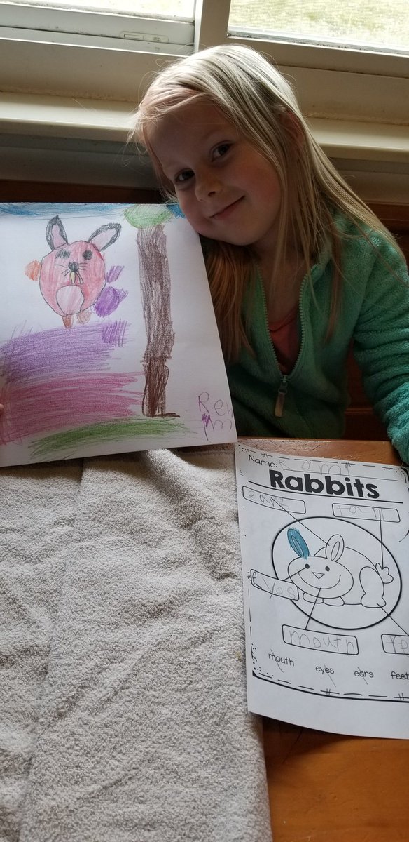 SBelleperche's tweet photo. Remi is having fun learning about rabbits this week. We even spotted  one in our backyard! @BudaiBunch @HayesHuskies #huskieslearningathome #huskiesathome https://t.co/ufQps3epzJ