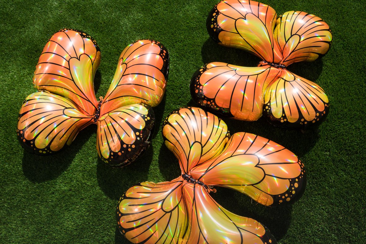 anagramballoons's tweet photo. When you see a monarch butterfly it means you are being guided & protected. Here are 3 iridescent ones to fill your feed with exactly that 🦋 #joyonpurpose https://t.co/hVwNrxW8lD