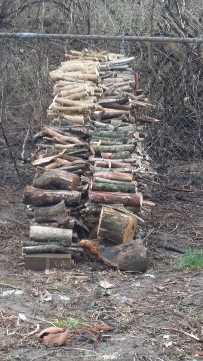 Updates:This is from a couple weeks back when I had a decent afternoon.The big problem is I keep forgetting to take "before" pics.The wood pile is now at a heavy cord and the next rank has begun.