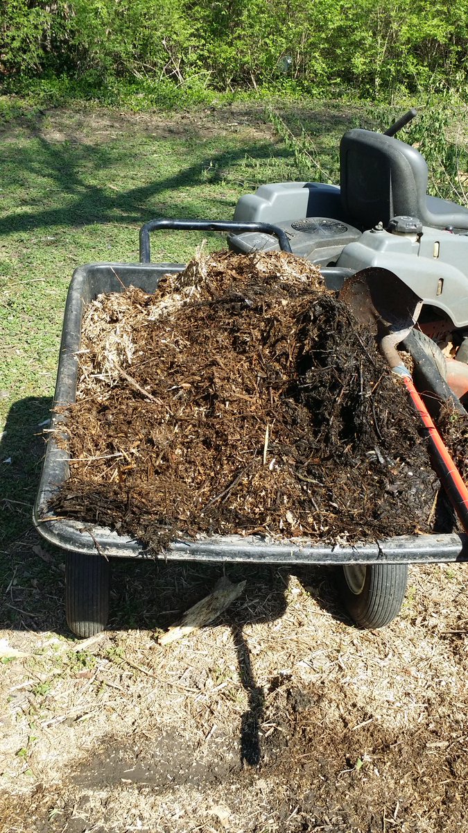 Now what do you do with better than a cubic yard of chipped up brush? Well since most of it is from last season fill some holes where someone diced to park a car in the past.
