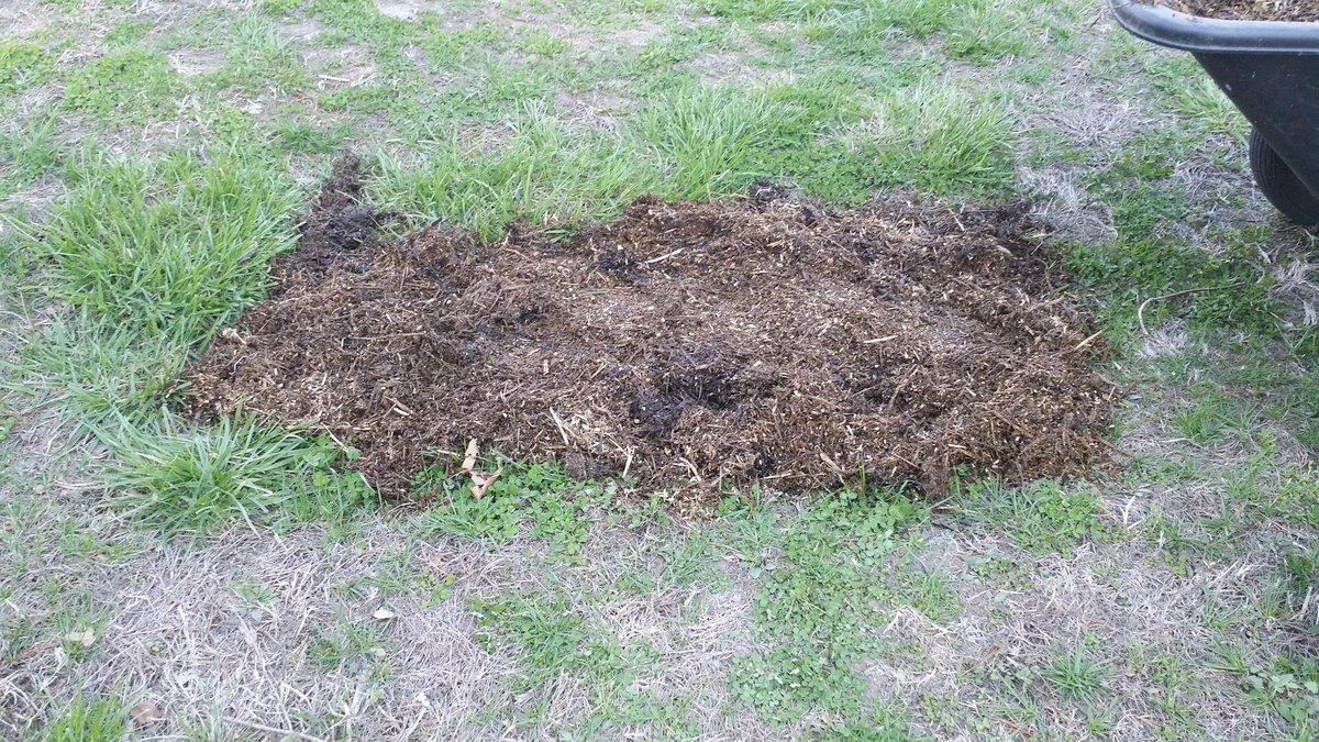 Now what do you do with better than a cubic yard of chipped up brush? Well since most of it is from last season fill some holes where someone diced to park a car in the past.