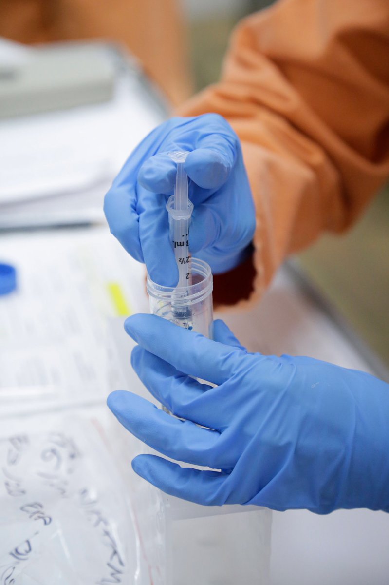 DrLarryMarshall's tweet photo. Today @CSIRO begins vaccine candidate testing to fight COVID-19, collaborating both within Australia and across the globe. Our researchers are working around-the-clock to combat this disease and we will keep working until this viral enemy is defeated https://t.co/kTAoDzTVhj https://t.co/lSi7ePeFJ7