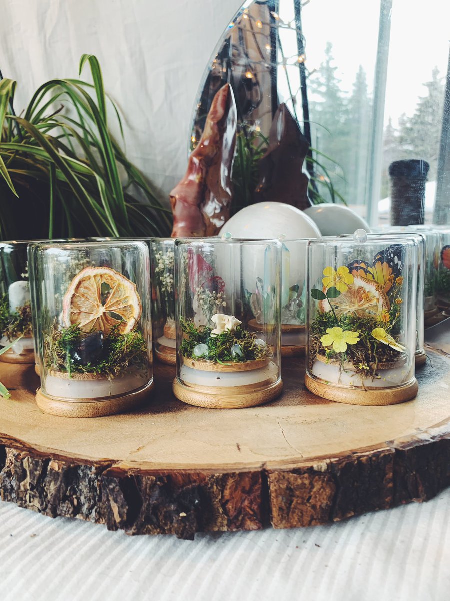 caitlinpobieglo's tweet photo. i used some dispensary jars to make mini terrariums https://t.co/KfKzfrGTbc