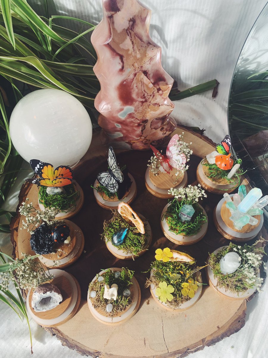 caitlinpobieglo's tweet photo. i used some dispensary jars to make mini terrariums https://t.co/KfKzfrGTbc