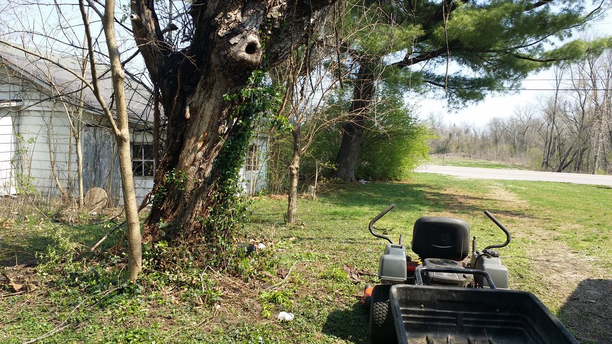 Since I will be outside more I hope to add more pics but here is the current "before" from today.Also I now have power run for the central air I plan to install late this spring--just as soon as my Uncle Sam gives me back my over payment.