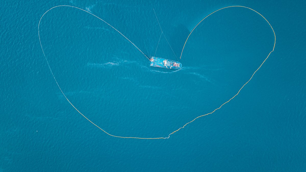 Chipperfield Media tweet media