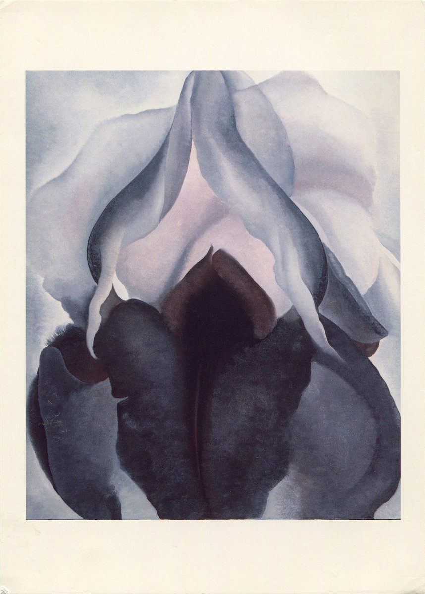 _salvajearte_'s tweet photo. Iris negro. 1926. Georgia O'Keeffe || Loie Fuller https://t.co/xBi9zqBrnp