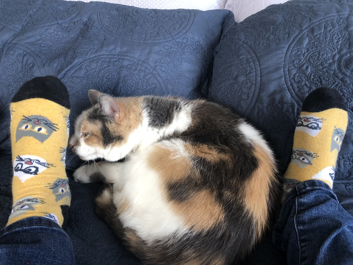 lynetteroby's tweet photo. #PSeSpiritWeek Wacky Wednesday! Wacky socks and a wacky cat! What smells? https://t.co/xn1wfwwQxk