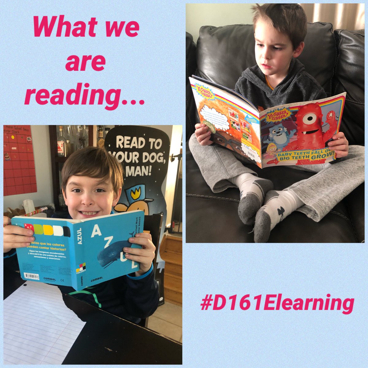 ArianaLeonard1's tweet photo. Here is a little of what we are reading today! @western161 @gina_isabelli @lwaishwell2 #D161Elearning https://t.co/Gril1lfwzP