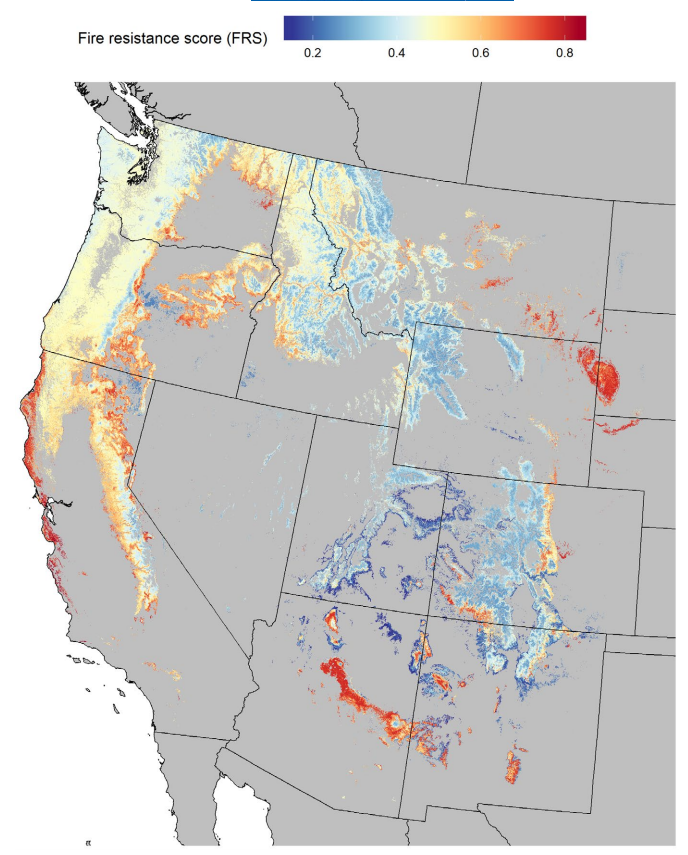 mm_kling's tweet photo. Excited to share our new paper led by @stevensjt on the biogeography of wildfire resistance in conifer forests! We map fire-related functional traits across the western US and highlight where it's mismatched with historic fire regimes. https://t.co/A8LzZ486lm