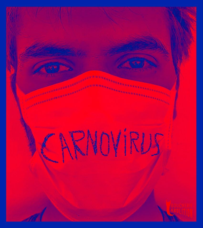 remigojard's tweet photo. #BoucherieAbolition #ÉlevageAbolition #BreedingAbolition #BreedingKillsEarth #CancelAnimalAG #CancelaIndustriaAnimal #STOPpandéMEAT #Carnovirus #StopPatriarcannibalisme
#StopPatriarcarnovirus #Femellisme
#OpenTheCage #FreedomCantWait
#StopZoophagie #Animalliberation
#COVID2019 https://t.co/acIuWzx4Rd
