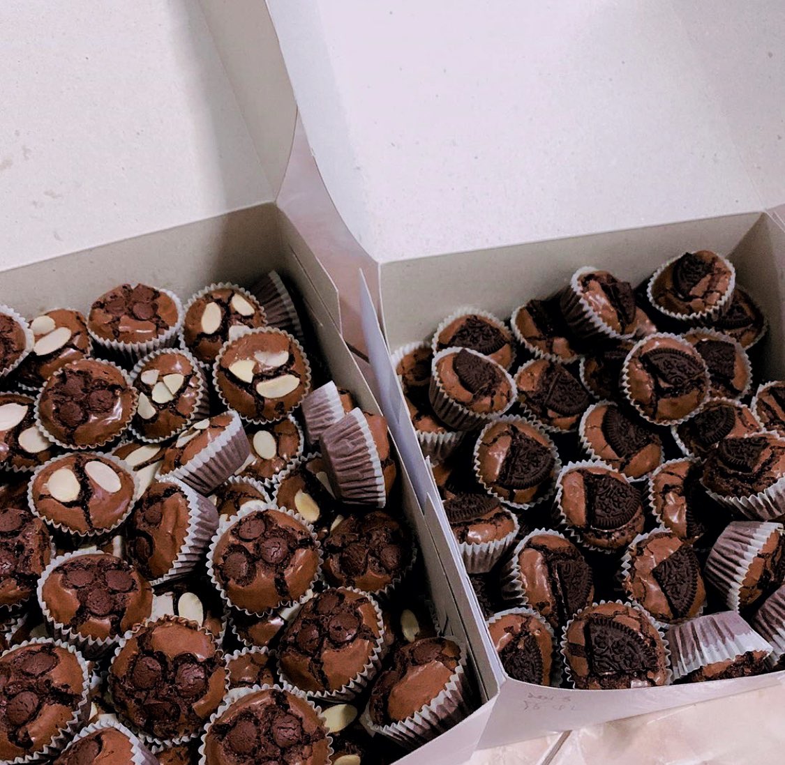 brownie.mini tweet media
