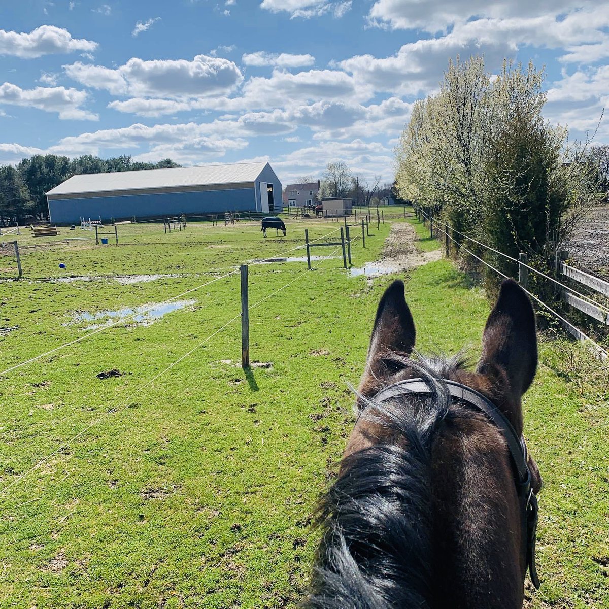 agoldetrauma's tweet photo. What #traumasurgeons should not do.. ride and answer emails. That’s why I need @fourmiracles101 to ride with me to prevent this! Come over already! #whereisthetrailer #cantwait https://t.co/AwEnOnzPiG