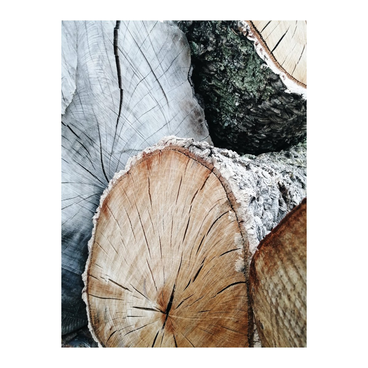 StaceyKnipe's tweet image. Day 5 #LockdownSA #Lockdownjournal #21dayphotochallenge