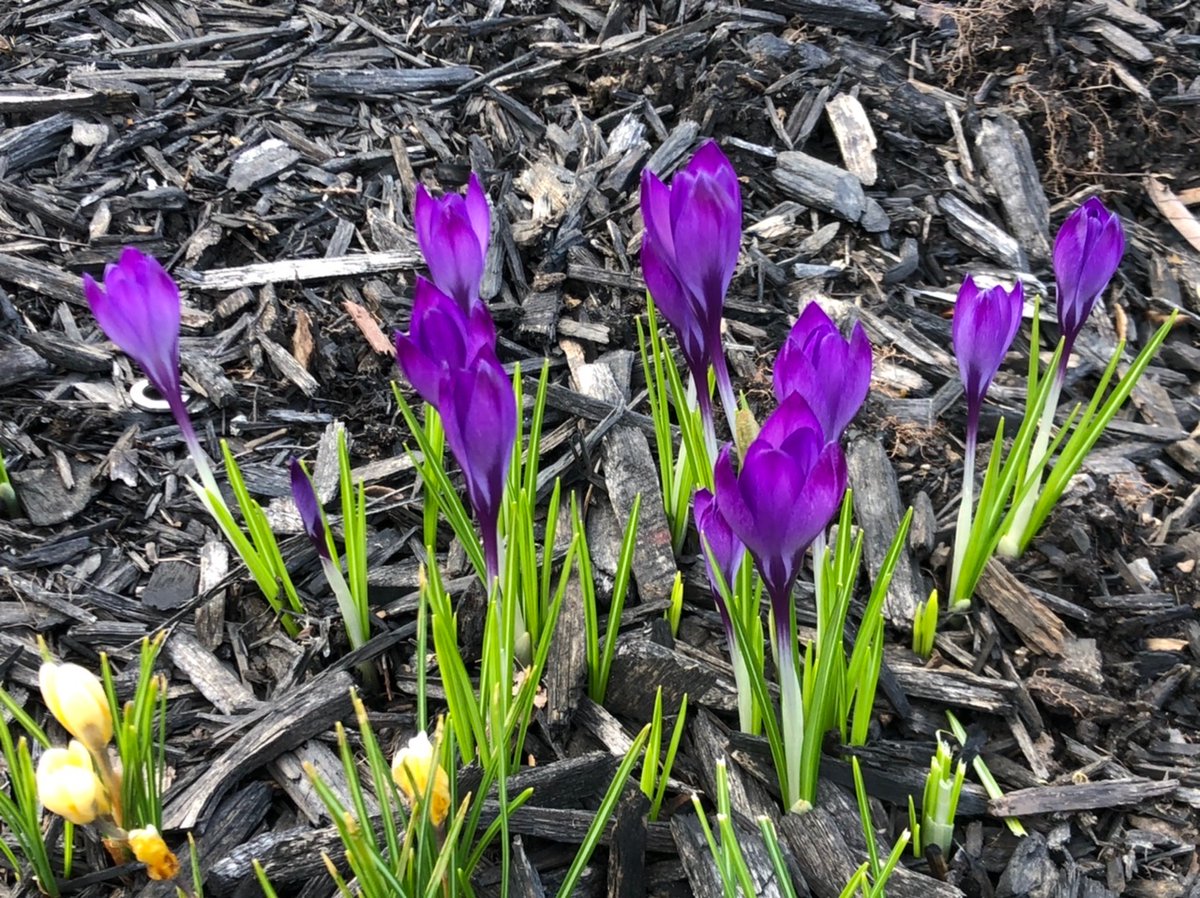 anaami's tweet photo. Summer is coming. https://t.co/oE6WfY5arj