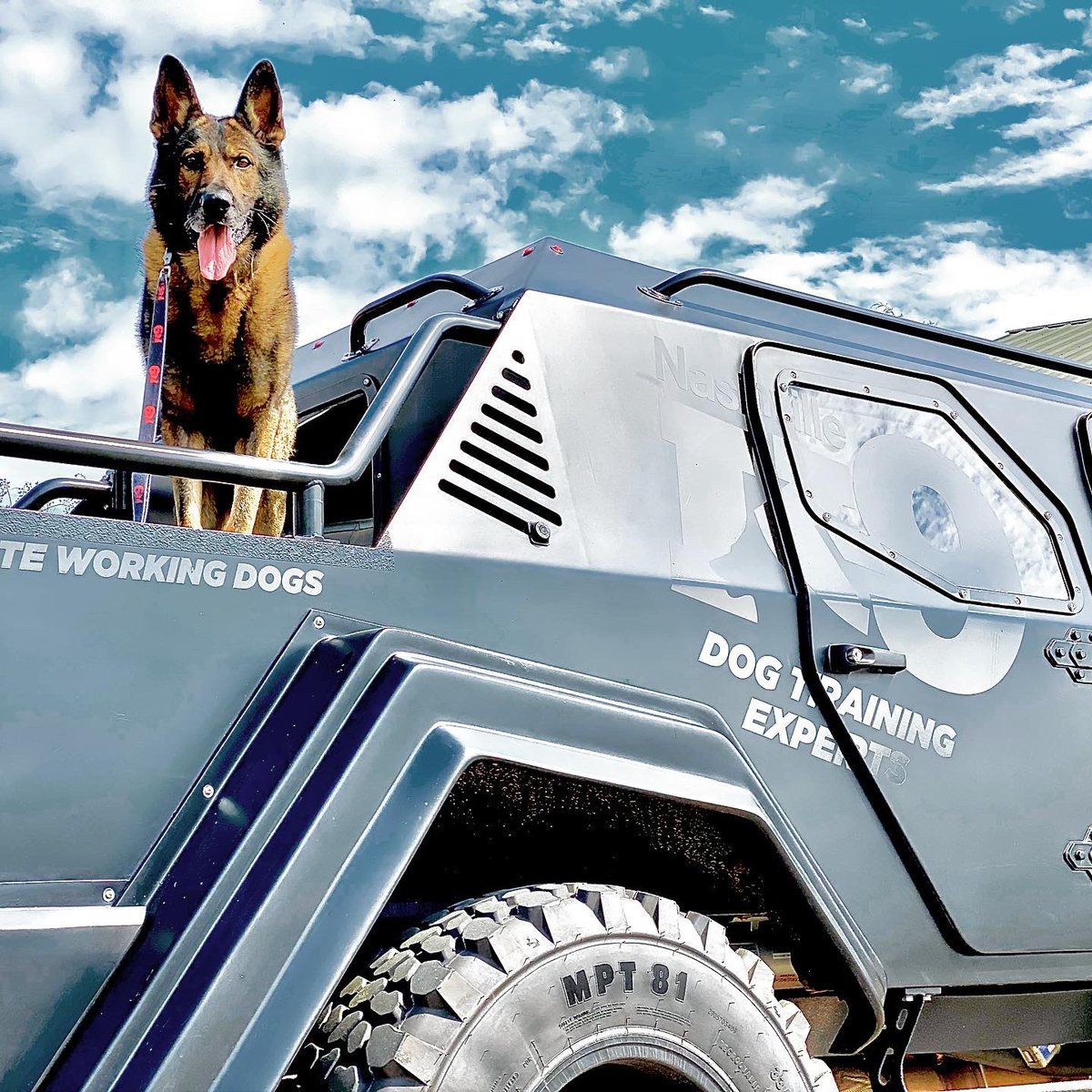 Our own parody!

#dogtraining #littledogs #obediencetraining #agilitytraining #behaviormodification #dogbehavior #middletn #nashville #nashvilledogtraining #chihuahua #chihuahualove #bettertrainers #betterresults #NashvilleK9