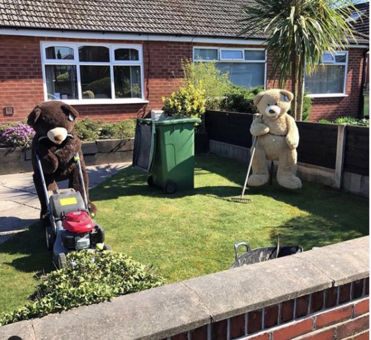 stopinstockport's tweet photo. .@StockportCounty will you send the Heaton Moor Bears some kit ? For thier next set up? https://t.co/5kzjIGk9Cz
