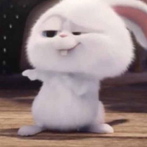 jungkook as snowball: a much needed thread