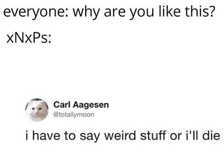 “Why are you like this?”

xNxPs: 

#ENFP #INFP #ENTP #INTP #MBTI
