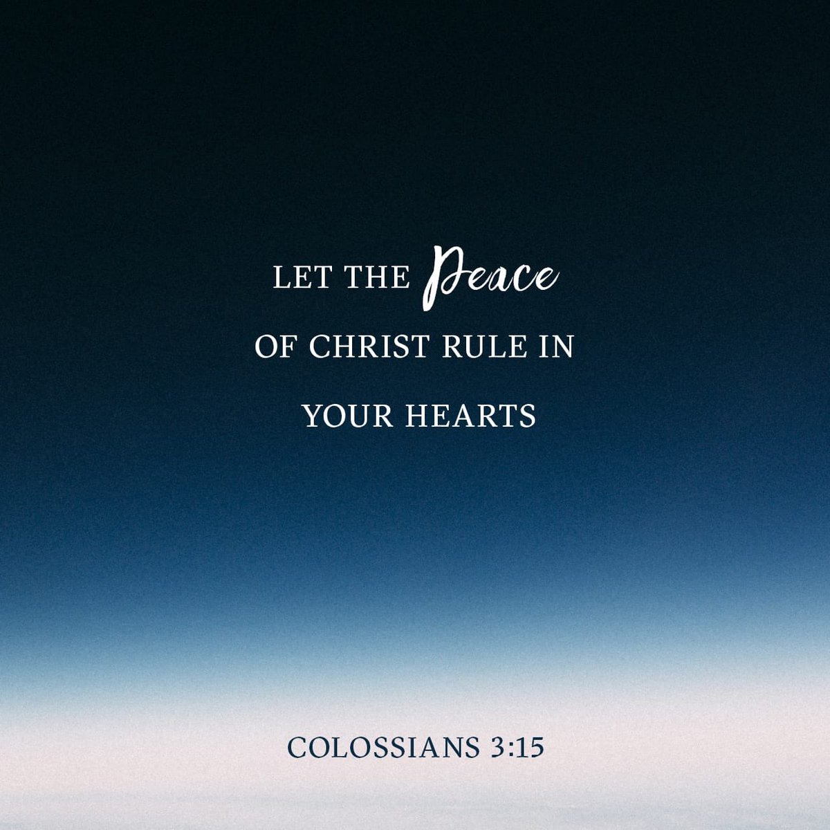 amygroeschel's tweet photo. https://t.co/2Yu4BdVM2h https://t.co/YSLfUUJi7C
