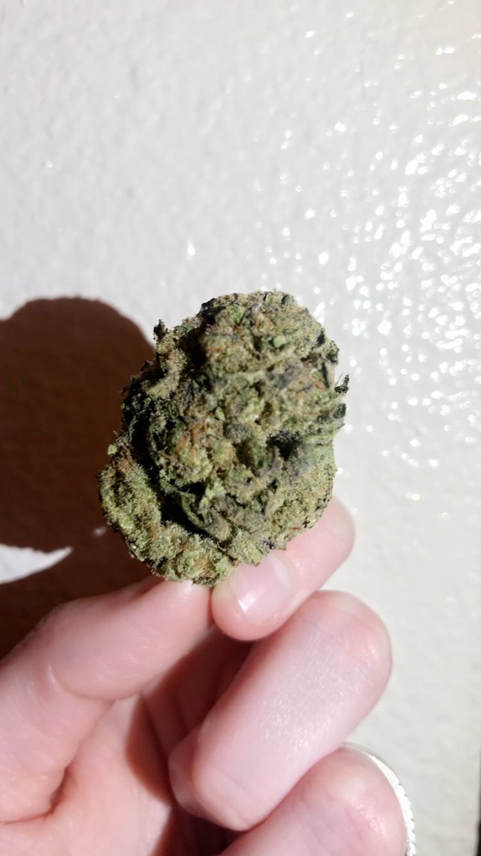 #Boysenberrygelato 💨✨😛