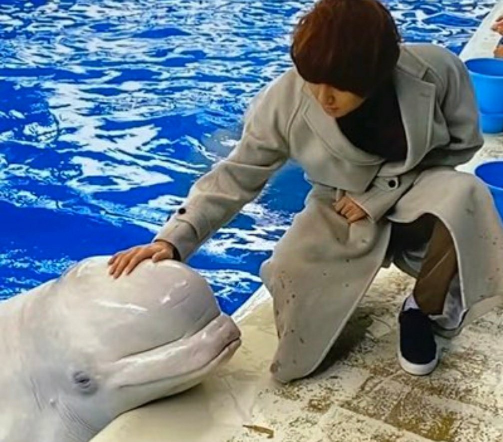 白イルカと伊野尾さん