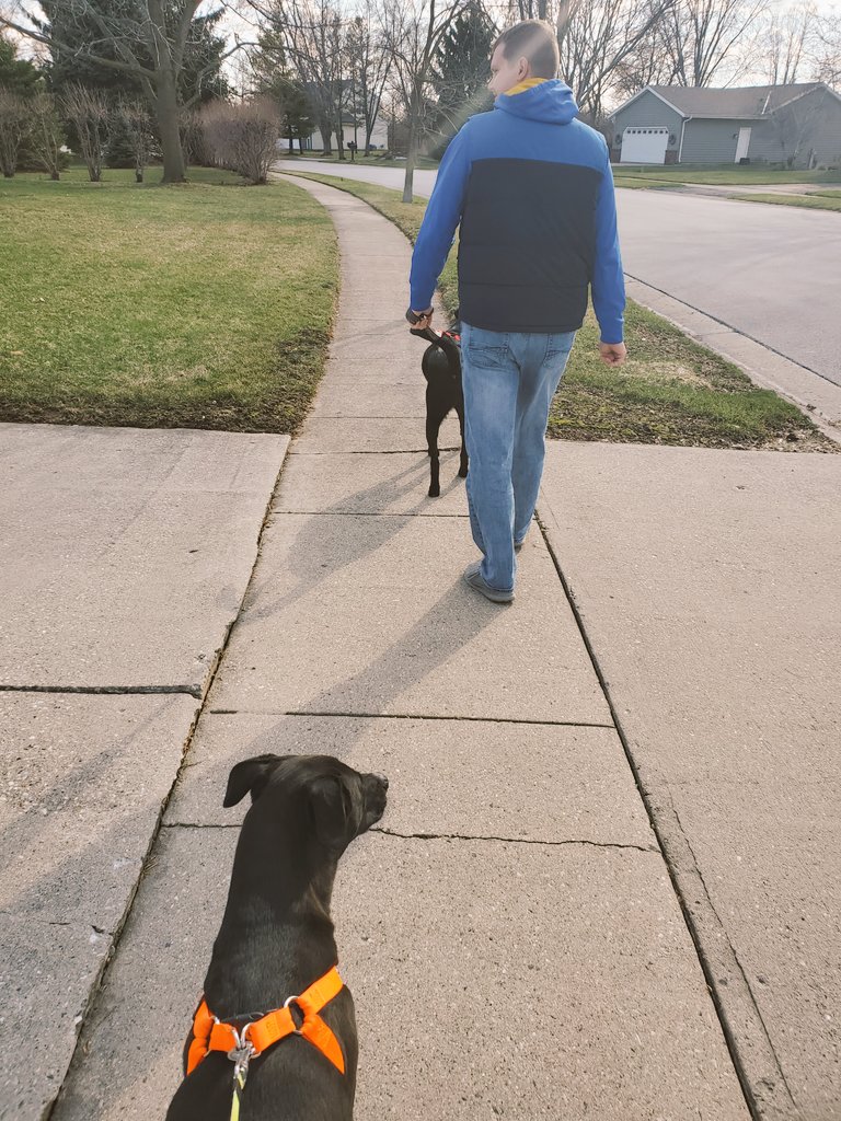 aubrey matuka tweet media