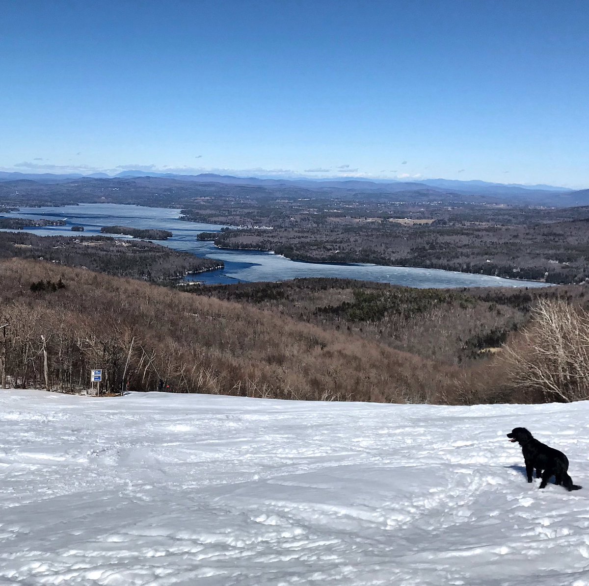 AltEdCousens's tweet photo. Just Scout and I on top of Mt Sunapee #hdsdwellness #hdhspride #SocialDistancing https://t.co/Ee899WvvvP