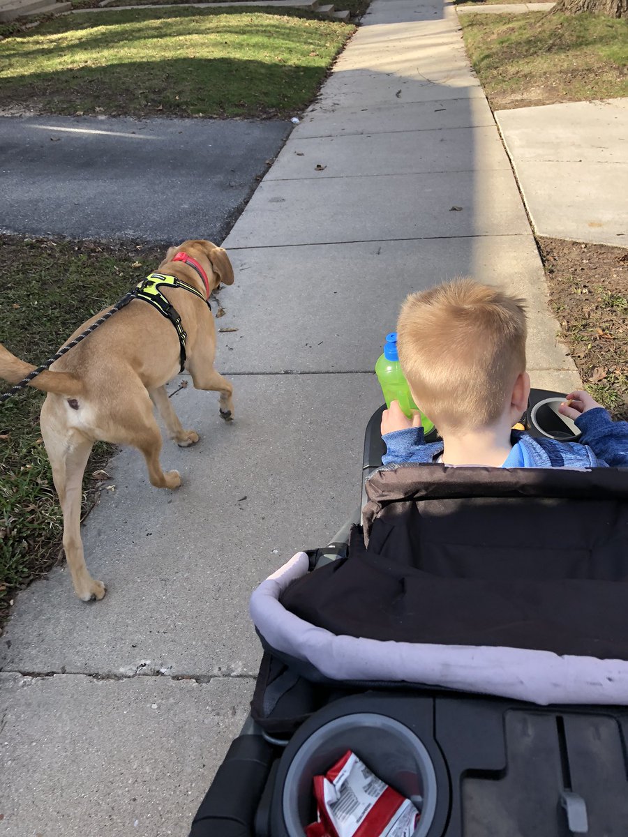 Kailin Perugini tweet media