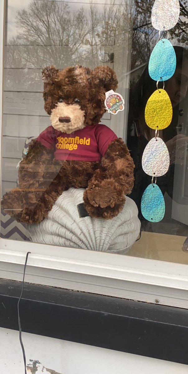 Nicole_BCAdm's tweet photo. This works even better since I work for @bloomfieldedu and we have a Bear for a mascot! #bearhunt #randomactsofcommunity @Go_BCBears #mascots #highered #SocialDistancing https://t.co/eReGViTU0f