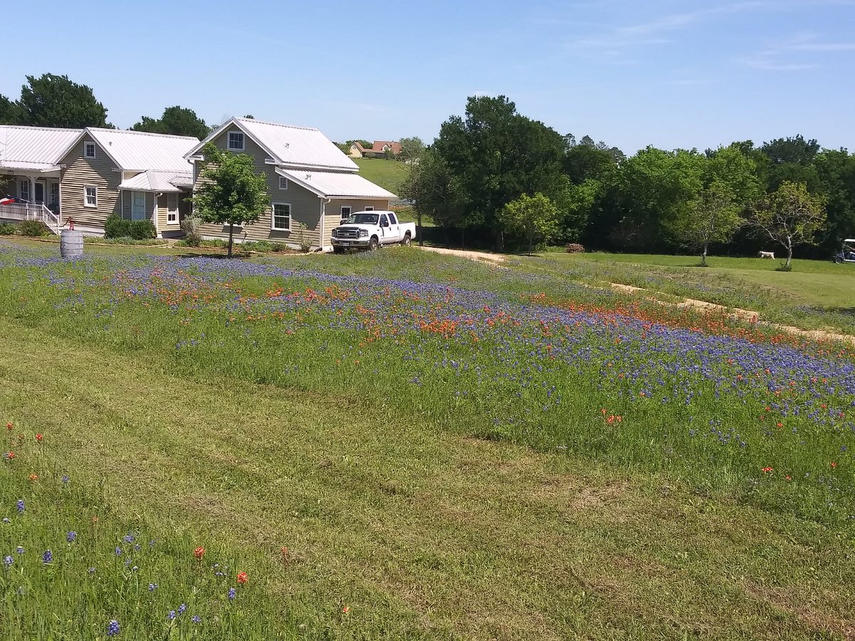 SenoraWBautista's tweet photo. #CWHSVirtualWeek @cwhs_springisd
Wednesday - not really a work out, but walking through fields of wildflowers is exercise, right? https://t.co/PkYbXNjKZG