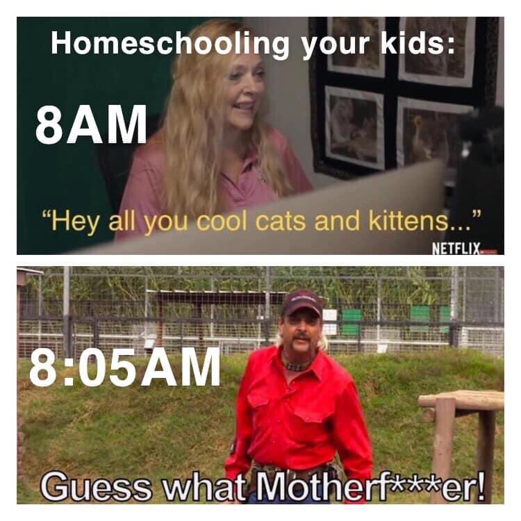 gopens58's tweet photo. Day 3 of virtual learning... https://t.co/Yqx8QIFVLL
