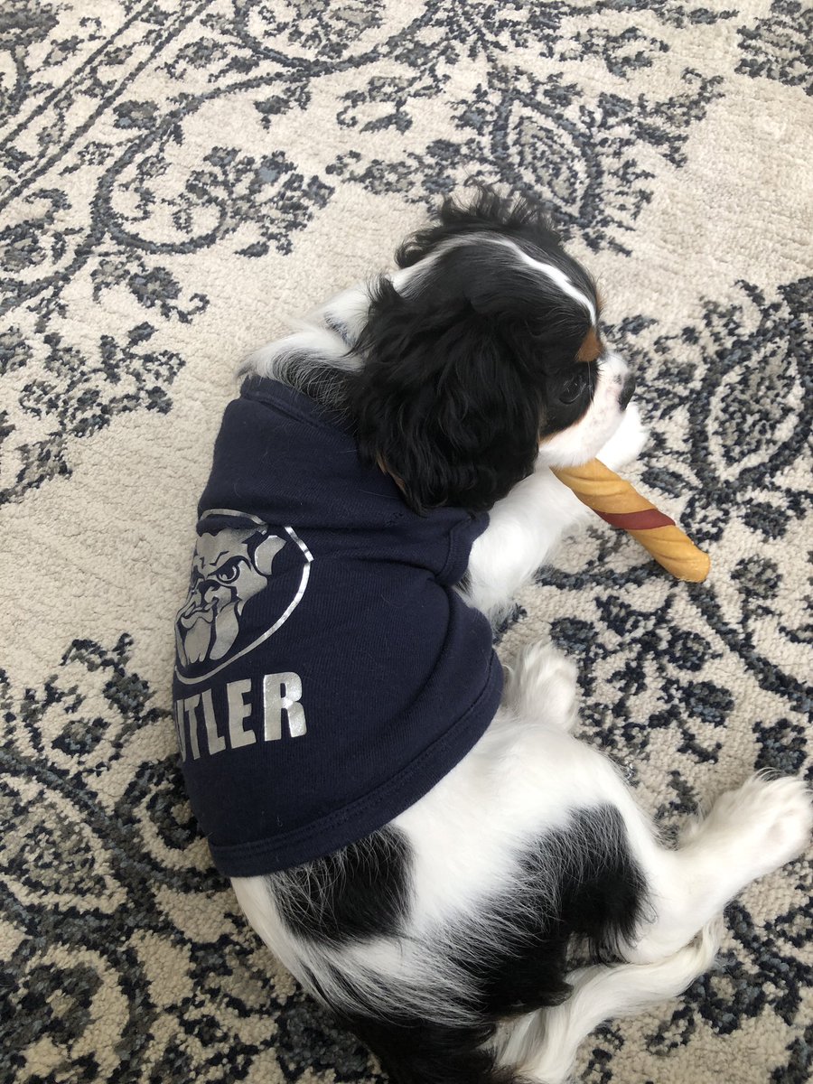 When no sports are on, our cute puppy in his Butler jersey chewing on his bone will have to do. It’s getting crazy around here. We miss you basketball 😭🏀 Go Dawgs!! 💙 <a href="/ButlerMBB/">Butler Basketball</a> <a href="/ButlerBlue3/">Butler Blue III</a> <a href="/TheButlerBlue/">Butler Blue IV</a>