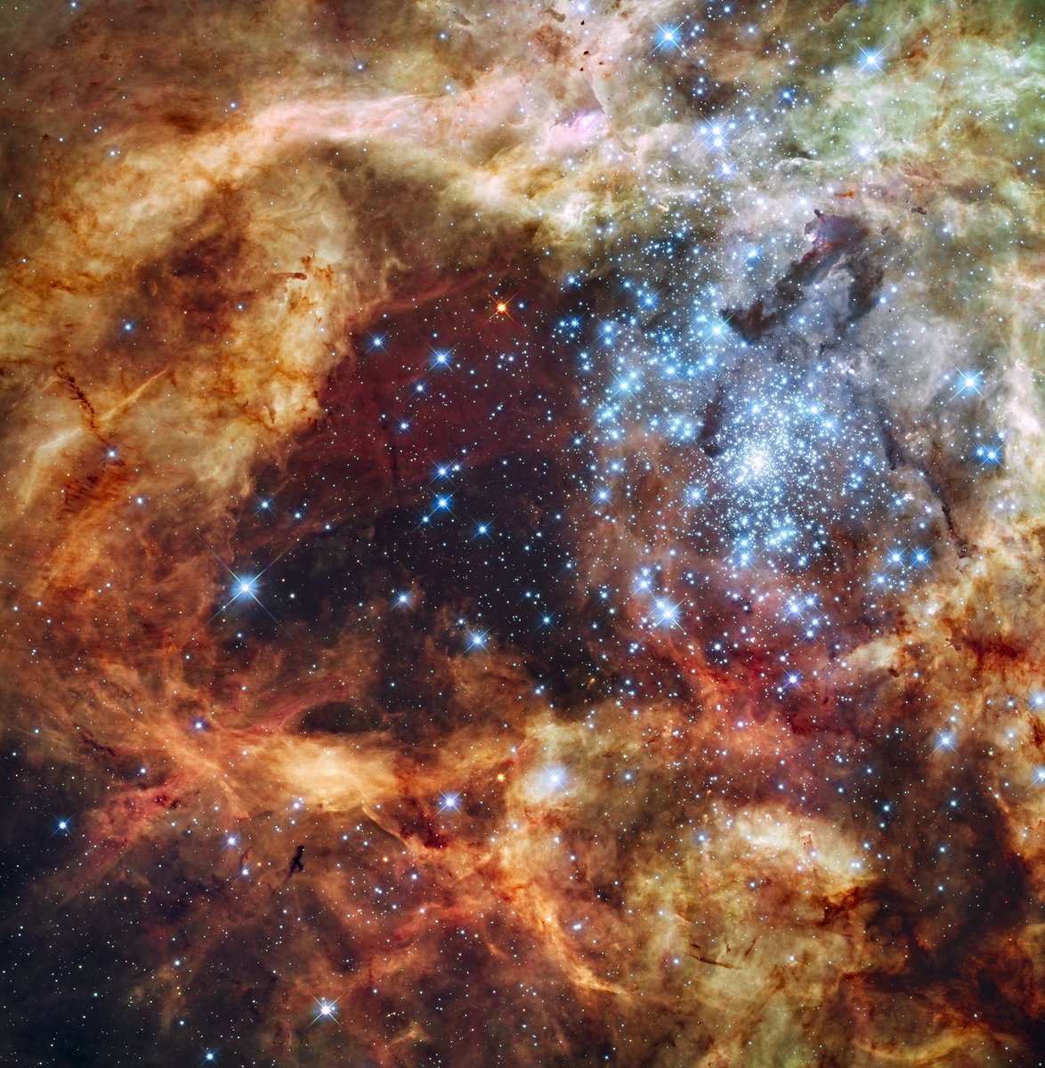 chuu — 30 doradus nebula
