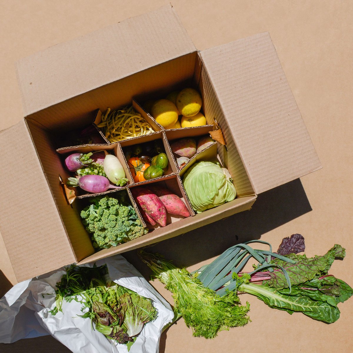 Canasta <a href="/yolcan_mx/">Yolcan</a> a domicilio y muchas cosas ricas en nuestra tienda gourmet en linea bottegashop.mx