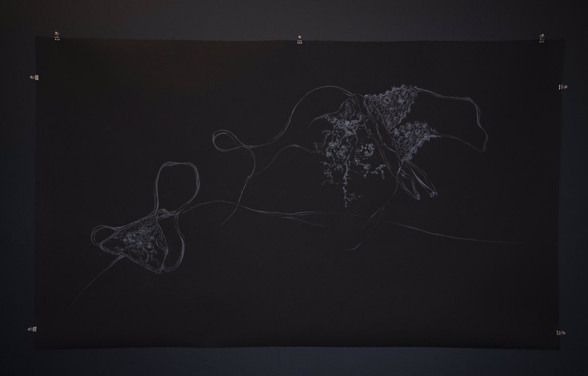 Heather Bennett solo exhibition “Midnight Special” at Monaco